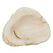 Load image into Gallery viewer, Pan mini mask - God of Wild - Panas - First Theatre of World Dionysus Acropolis