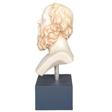 Load image into Gallery viewer, Socrates Bust Statue - Western Philosophy - Plato Aristotle Students - Pedagogy