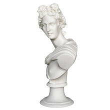 Load image into Gallery viewer, Apollo Alabaster bust - God of Arts Music Poetry Sun and Light - Prophecy