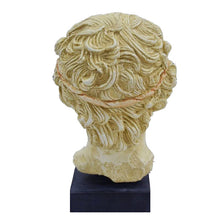 Load image into Gallery viewer, Antinous Bust - Antinoos - Ancient Greece Rome - Emperor Hadrian favorite