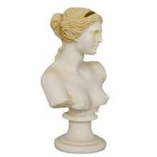 Load image into Gallery viewer, Aphrodite Small Aged Bust - Goddess Of Love Beauty Fertility - Venus