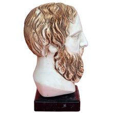Load image into Gallery viewer, Herodotus Greek Philosopher Head Bust - The Father of History - Herodotos