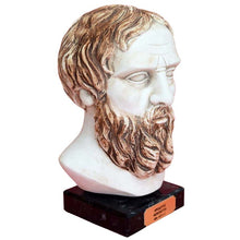 Load image into Gallery viewer, Herodotus Greek Philosopher Head Bust - The Father of History - Herodotos