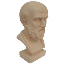 Load image into Gallery viewer, Hippocrates father of Western medicine Greek physician