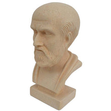 Load image into Gallery viewer, Hippocrates father of Western medicine Greek physician