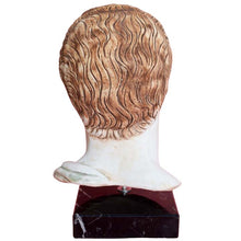 Load image into Gallery viewer, Hippocrates head bust on marble base - Western medicine - Hippocratic Oath