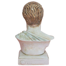 Load image into Gallery viewer, Hippocrates small bust statue - Father of Western medicine - Hippocratic Oath