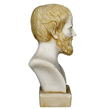 Load image into Gallery viewer, Aristotle Alabaster aged bust - Father of Western Philosophy - Aristotelis