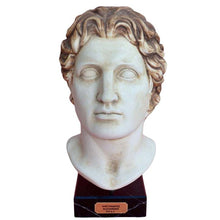 Load image into Gallery viewer, Alexander the Great Macedonian Head Statue - King Of Vergina