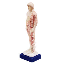 Load image into Gallery viewer, Asclepius God of Medicine and Healing statue - Mythology Apollo son - Patron God