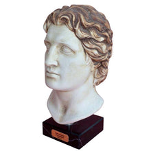 Load image into Gallery viewer, Alexander the Great Macedonian Head Statue - King Of Vergina