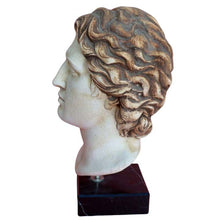Load image into Gallery viewer, Alexander the Great Macedonian Head Statue - King Of Vergina