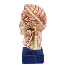 Load image into Gallery viewer, Ancient Greek women Kore small head bust - Maiden Korai - Museum Reproduction
