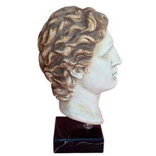 Load image into Gallery viewer, Alexander the Great Macedonian Head Statue - King Of Vergina