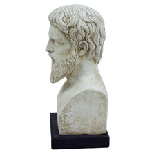 Load image into Gallery viewer, Plato bust - Greek Philosopher - Student of Socrates - Teacher of Aristotle