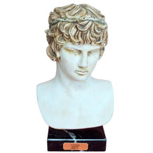 Load image into Gallery viewer, Antinous casting stone head bust on marble base - Emperor Hadrian Rome