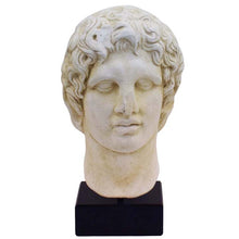 Load image into Gallery viewer, Alexander the Great Macedonian bust - King Of Vergina - Ancient Greece