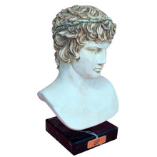 Load image into Gallery viewer, Antinous casting stone head bust on marble base - Emperor Hadrian Rome
