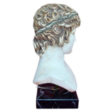 Load image into Gallery viewer, Antinous casting stone head bust on marble base - Emperor Hadrian Rome