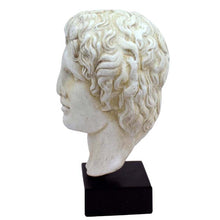 Load image into Gallery viewer, Alexander the Great Macedonian bust - King Of Vergina - Ancient Greece