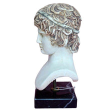 Load image into Gallery viewer, Antinous casting stone head bust on marble base - Emperor Hadrian Rome