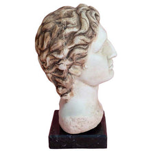 Load image into Gallery viewer, Alexander the Great Macedonian head sculpture - King Of Vergina Macedonia
