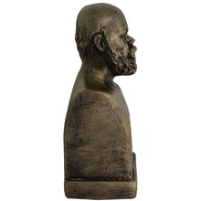 Load image into Gallery viewer, Socrates bust bronze color effect Western Philosophy - Plato Aristotle Students