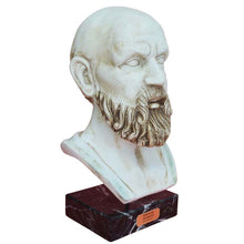 Load image into Gallery viewer, Socrates Greek Philosopher Head Bust - Western Philosophy - Plato Aristotle