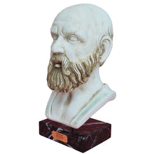 Load image into Gallery viewer, Socrates Greek Philosopher Head Bust - Western Philosophy - Plato Aristotle
