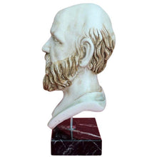 Load image into Gallery viewer, Socrates Greek Philosopher Head Bust - Western Philosophy - Plato Aristotle