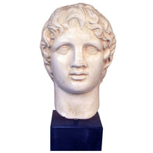 Load image into Gallery viewer, Alexander the Great Macedonian Head - King Of Vergina