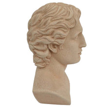 Load image into Gallery viewer, Alexander the Great Macedonian Bust - King Of Vergina