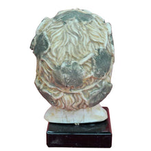 Load image into Gallery viewer, Dionysus Bacchus Head Bust - Dionysos God of Wine Ritual Madness and ecstasy