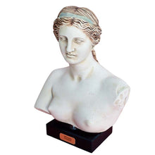 Load image into Gallery viewer, Aphrodite bust sculpture - Goddess of Love Beauty Fertility - Venus