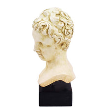 Load image into Gallery viewer, Ephebe of Marathon bust statue - Youth boy sculpture - Museum reproduction