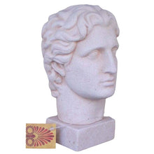 Load image into Gallery viewer, Alexander the Great Macedonian small bust- Ancient Greece