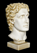 Load image into Gallery viewer, Alexander the Great Macedonian - Alabaster aged bust - King Of Vergina Phillip Son