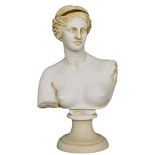 Load image into Gallery viewer, Aphrodite Alabaster aged bust Goddess Of Love Beauty Fertility Procreation Venus
