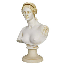 Load image into Gallery viewer, Aphrodite Alabaster aged bust Goddess Of Love Beauty Fertility Procreation Venus
