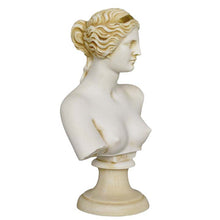 Load image into Gallery viewer, Aphrodite Alabaster aged bust Goddess Of Love Beauty Fertility Procreation Venus
