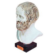 Load image into Gallery viewer, Aristotle the Philosopher bust - Western Philosophy Aristotelis Socrates Plato
