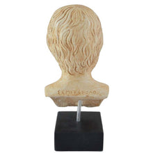 Load image into Gallery viewer, Socrates bust statue - Western Philosophy - Teacher of Plato - Aristotle
