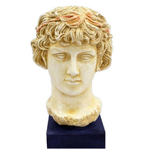 Load image into Gallery viewer, Antinous Bust - Antinoos - Ancient Greece Rome - Emperor Hadrian favorite
