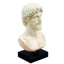 Load image into Gallery viewer, Aristotle bust - Philosopher - Student of Plato - Teacher of Alexander the Great
