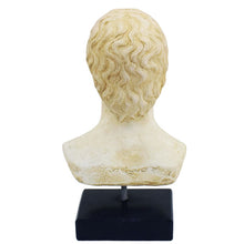 Load image into Gallery viewer, Aristotle bust - Philosopher - Student of Plato - Teacher of Alexander the Great
