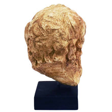Load image into Gallery viewer, Zeus King of the Olympians Gods small bust - Ruler of Sky and Thunder - Olympus
