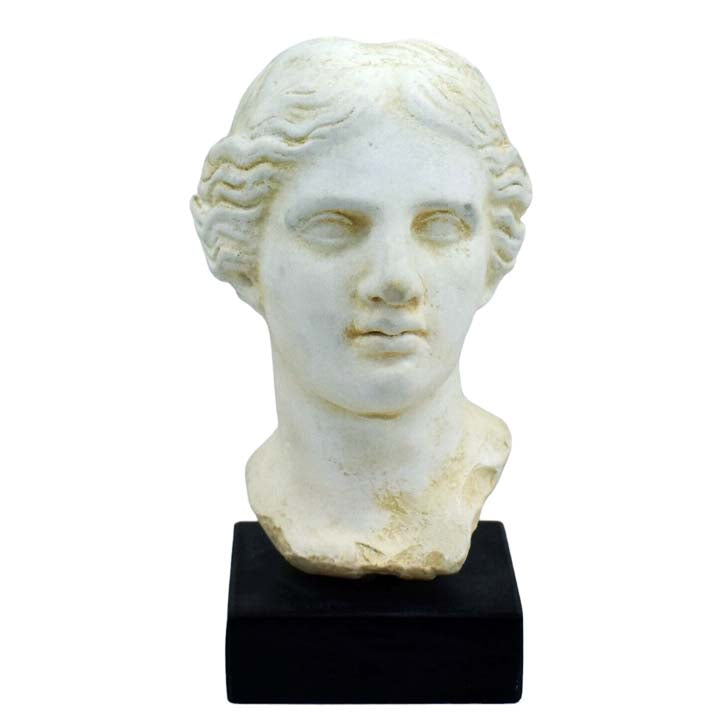 Aphrodite Bust - Goddess of Love Beauty Fertility Procreation - Venus