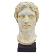Load image into Gallery viewer, Alexander the Great Macedonian Large bust - King Of Vergina
