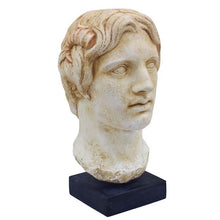 Load image into Gallery viewer, Alexander the Great Macedonian Large bust - King Of Vergina
