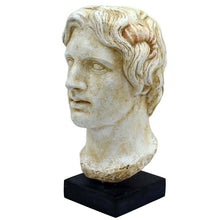 Load image into Gallery viewer, Alexander the Great Macedonian Large bust - King Of Vergina
